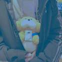 love song专辑