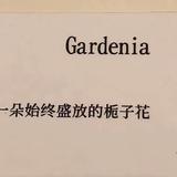 趣奇cookie