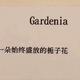 趣奇cookie