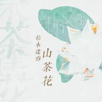 春茶花