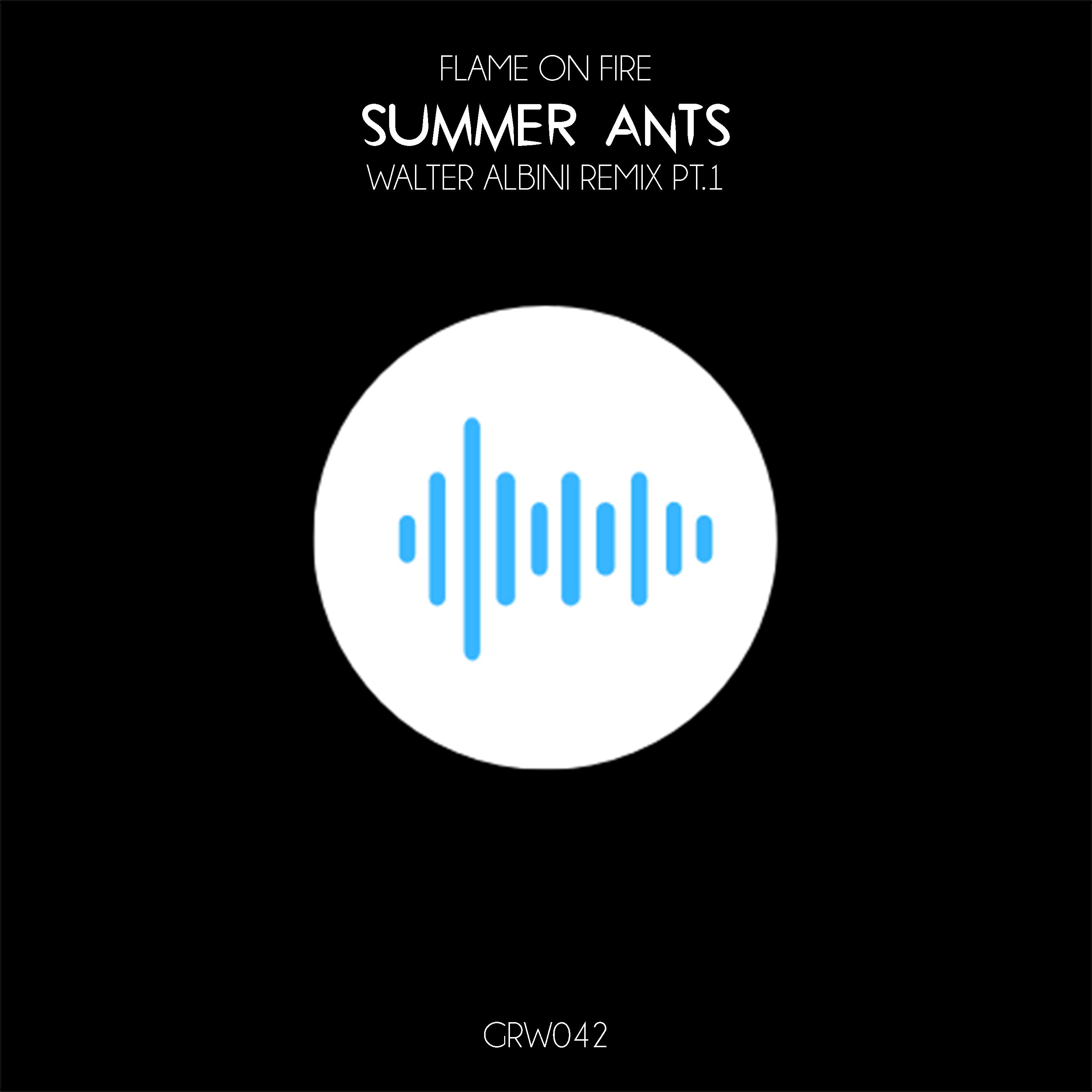 Summer Ants (Walter Albini Remix)