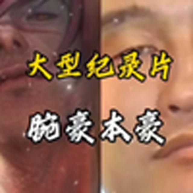 大型纪录片《腕豪本豪》