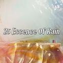 25 Essence Of Rain专辑