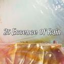 25 Essence Of Rain专辑