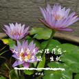 人声音乐心理-意象音颂：生机
