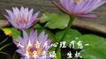人声音乐心理-意象音颂：生机专辑