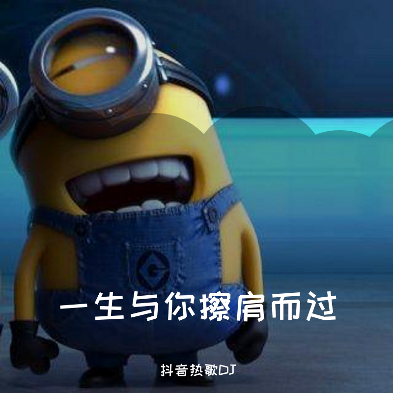 一生与你擦肩而过