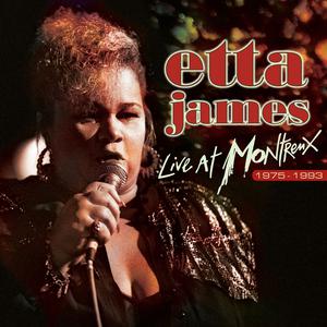 Etta James - Dust My Broom (Karaoke Version) 带和声伴奏 （降8半音）