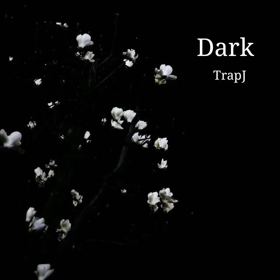 Dark专辑