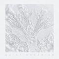Quiet Organism
