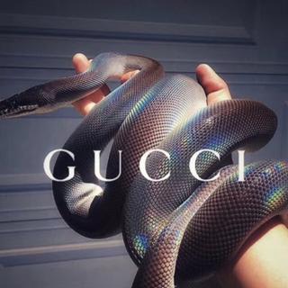 全网易最贵歌单了解一下？