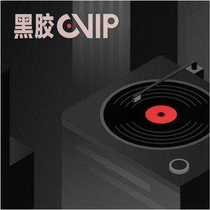 黑胶热歌榜致经典