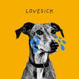 Lovesick