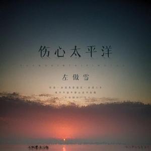 Anan - 伤心太平洋【电子琴演奏】D版