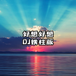 好想好想（DJ铁柱版）专辑