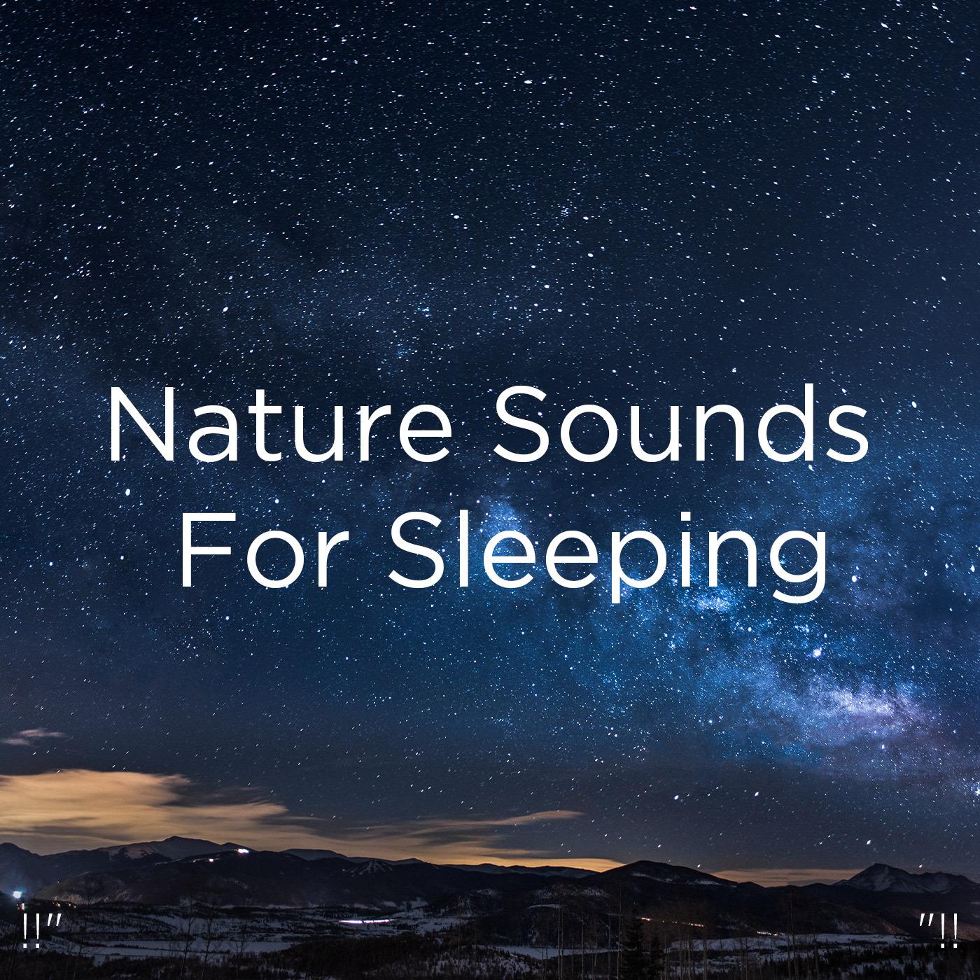 !!" Nature Sounds For Sleeping "!!