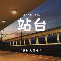 站台 农村大萍子 DJ版 降1 伴奏