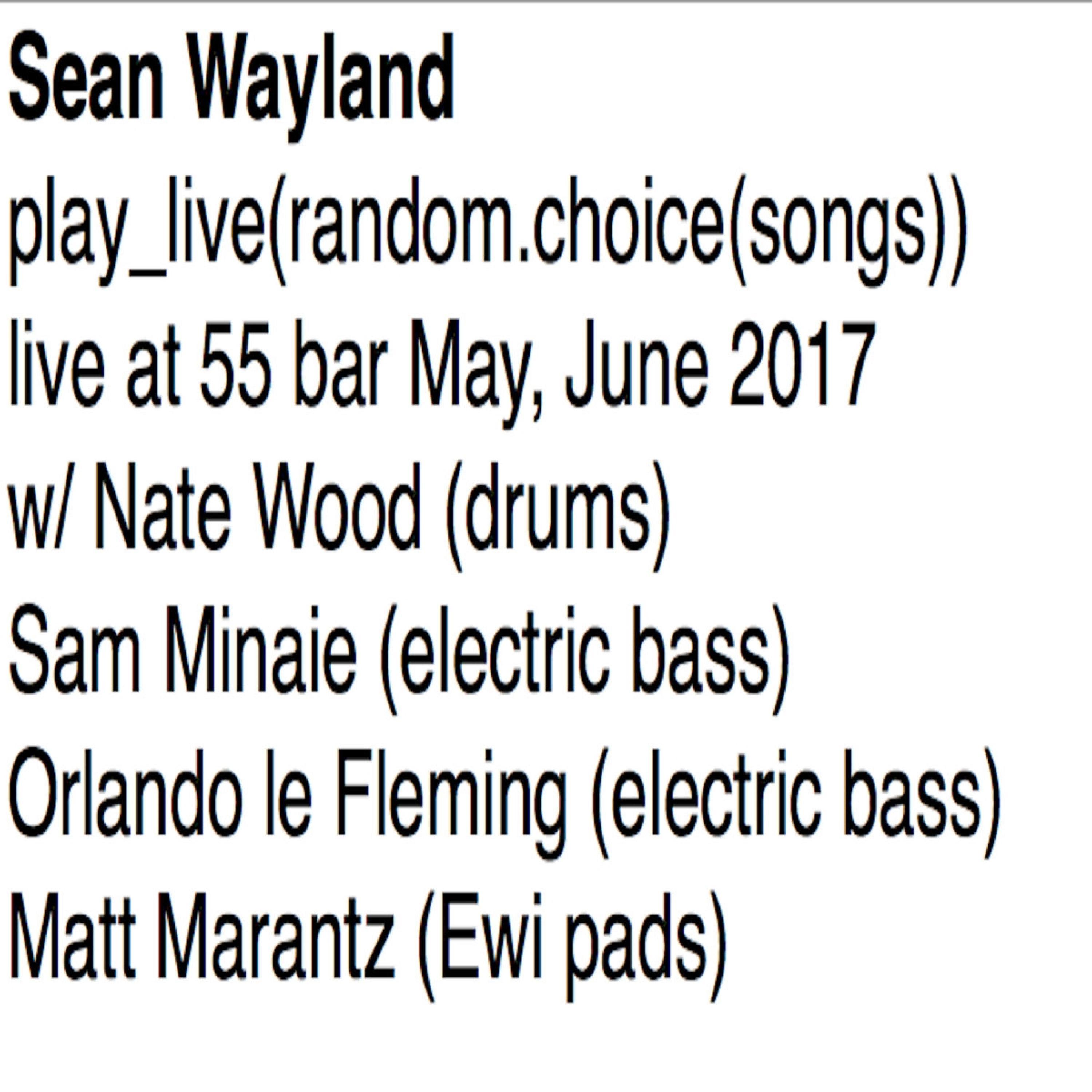 Sean Wayland - Fried Chicken Modulation (Live at 55 bar 2017 Wood Minaie) (feat. Nate Wood & Sam Minaie) (Live)