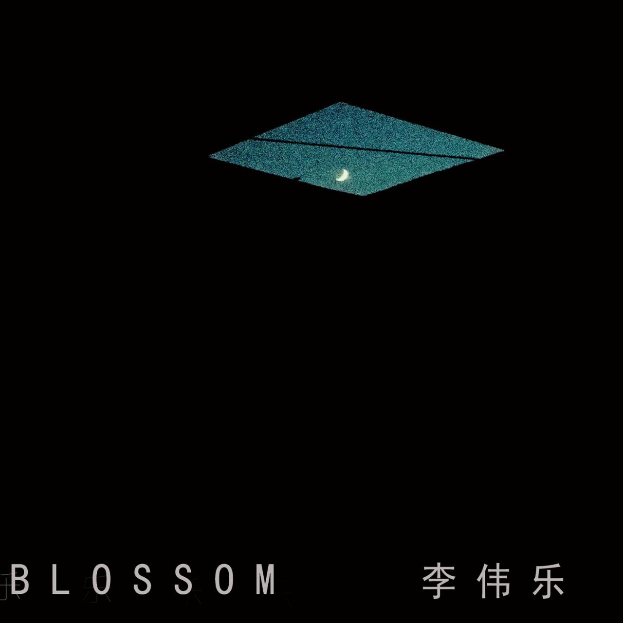 Blossom 盛开专辑