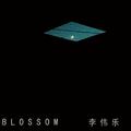 Blossom 盛开