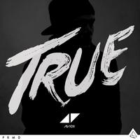 Avicii - Addicted to You (VS karaoke) 带和声伴奏