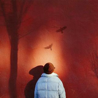 迷雾之子，无处更寻