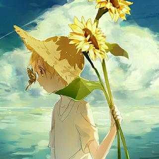 自然音律│盛夏林海中的绵言之韵