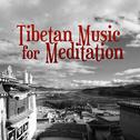 Tibetan Music for Meditation – Training Yoga, Soft Nature Sounds for Concentration, Inner Zen专辑