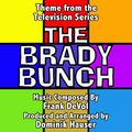 The Brady Bunch - Theme from the TV Series (Frank Devol)