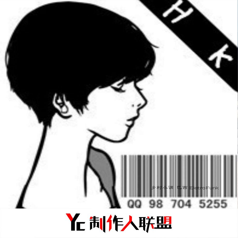 乡村小调  巴西 EletroFunk