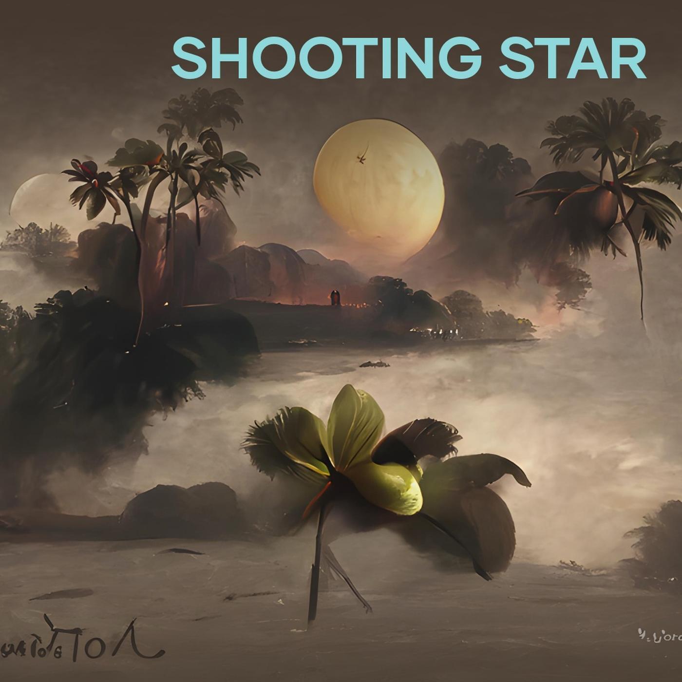 shooting star