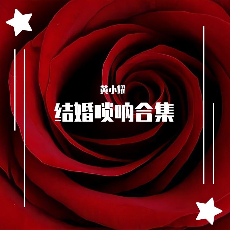 结婚唢呐合集