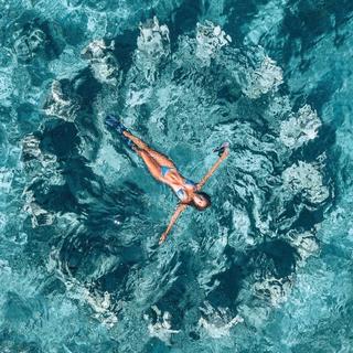 Tropical House 湛澈之道