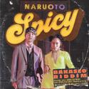 Spicy (BAKASCO RIDDIM)