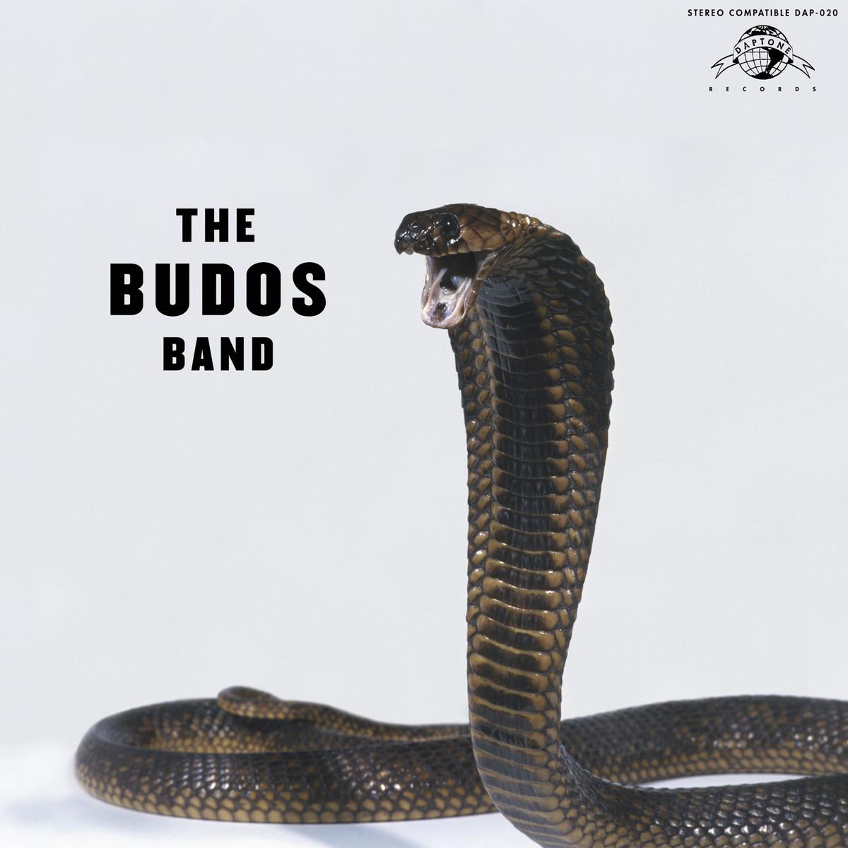 The Budos Band III专辑