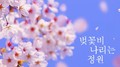 벚꽃비 나리는 정원专辑