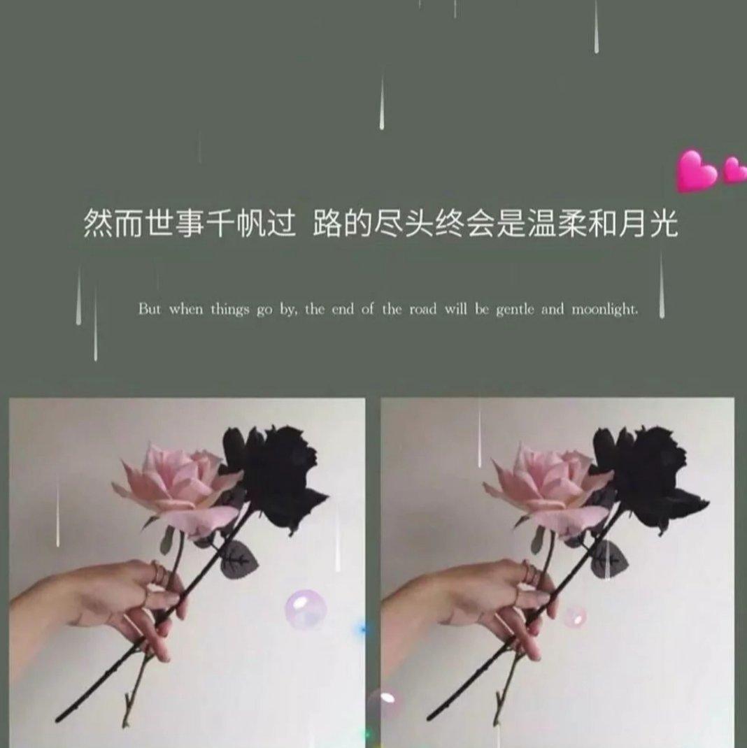 魔道＋撒野+全球高考（原唱/翻唱/同人曲）