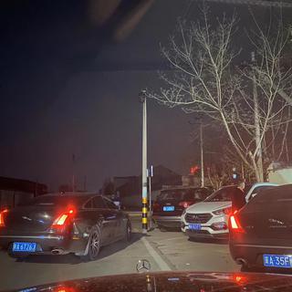 中山装 黑普桑