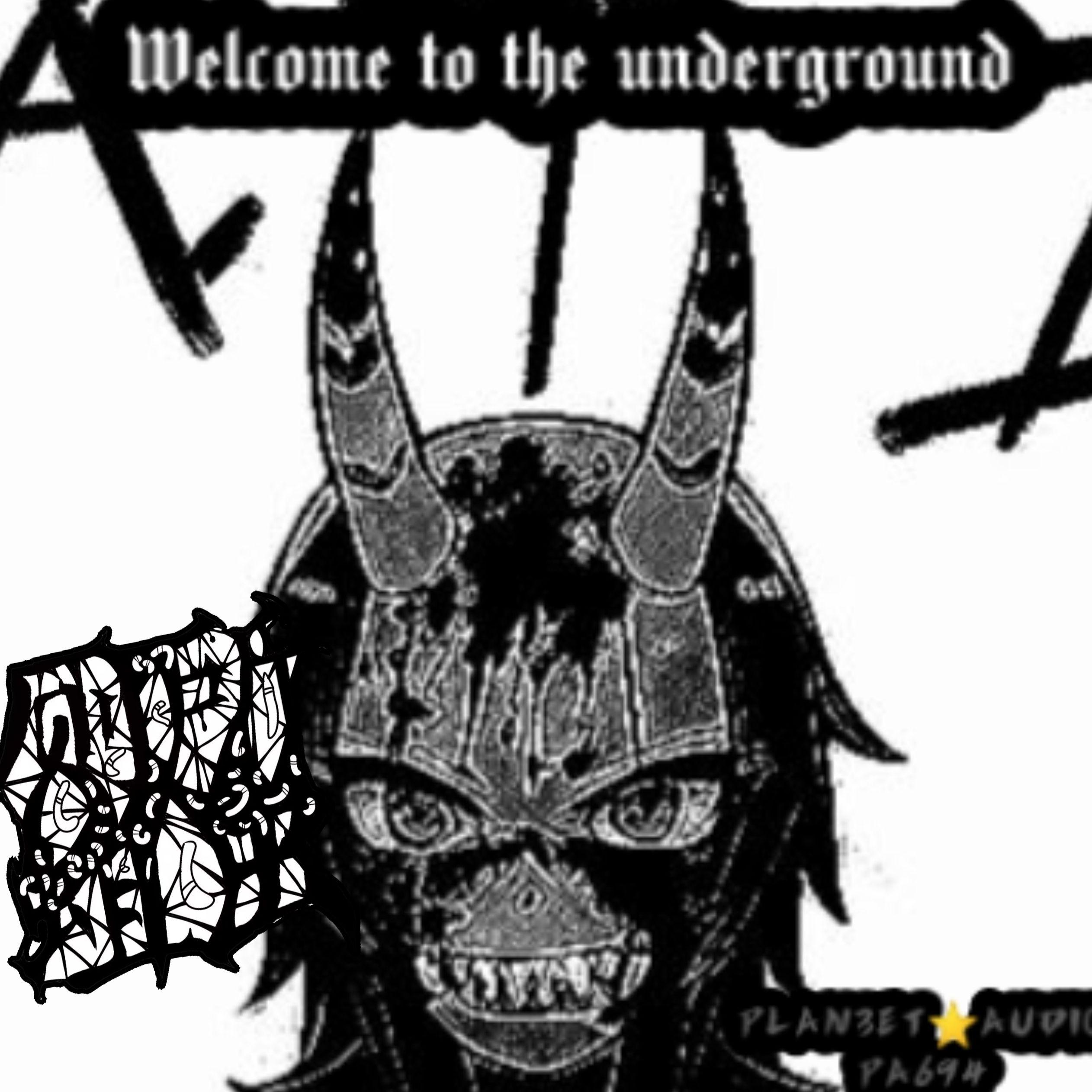 厕所蛆虫：Welcome to the underground