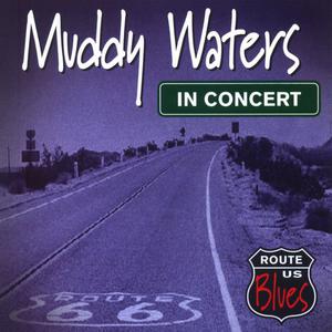 Muddy Waters - Baby Please Don't Go