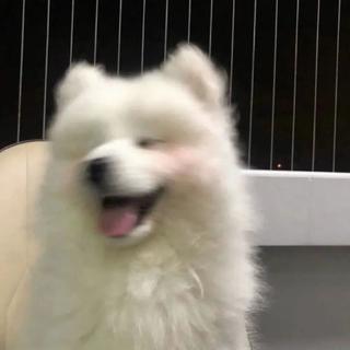  一起开启宝藏快乐模式ʕʘ̅͜ʘ̅ʔ～