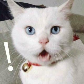 【 · 不为人知 の“日 推” 精 华。】