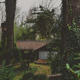 寻一座森林 待我以温柔栖息