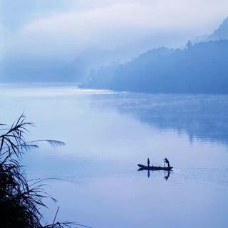 道法自然 | 一枝一叶总关情