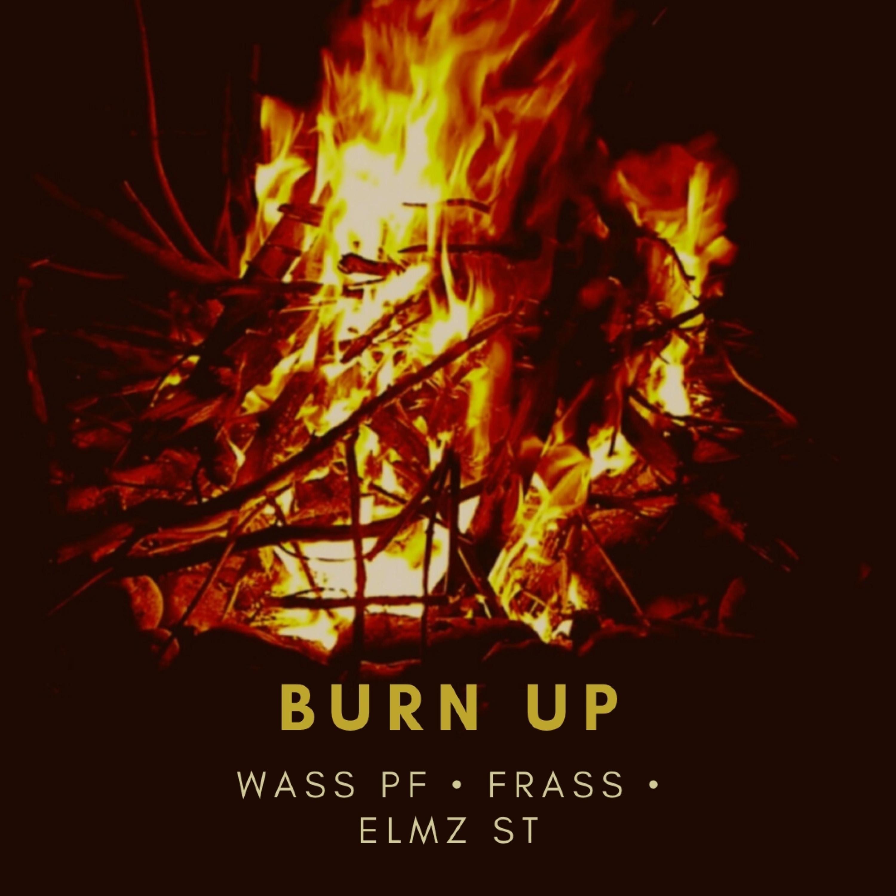 Burn Up (feat. Frass & Elm st)