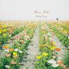 Flower Field ❀专辑