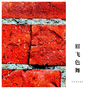 眉飞色舞（Cheney Remix）
