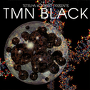 TETSUYA KOMURO PRESENTS TMN BLACK专辑