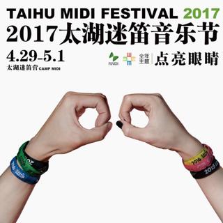 2017太湖迷笛音乐节