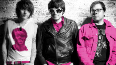 The Pink Spiders